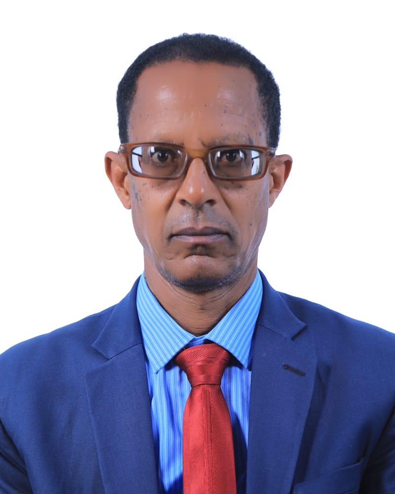 Mollalign Abebe - Attorney and Energy Consultant